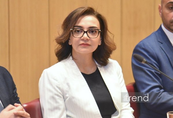 Азербайджан располагает значительным потенциалом для развития научных исследований - Севиндж Мамедова