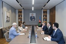 Джейхун Байрамов провел встречу с гендиректором Международной комиссии по пропавшим без вести лицам (ФОТО)