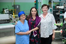 Вице-президент Фонда Гейдара Алиева Лейла Алиева ознакомилась с деятельностью ОАО «Азерипек» (ФОТО)