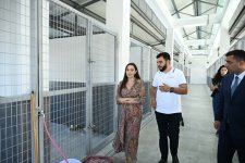 Лейла Алиева приняла участие в открытии регионального филиала Центра по уходу за бездомными животными в Евлахе (ФОТО)