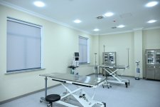 Лейла Алиева приняла участие в открытии регионального филиала Центра по уходу за бездомными животными в Евлахе (ФОТО)
