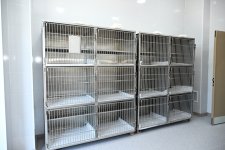 Лейла Алиева приняла участие в открытии регионального филиала Центра по уходу за бездомными животными в Евлахе (ФОТО)