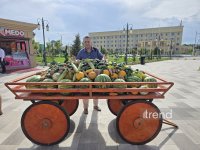 Туркестан глазами азербайджанца - от святыни Арыстан Баб до мавзолея Ходжи Ахмеда Ясауи и невероятного футуризма (ФОТО, часть 3)