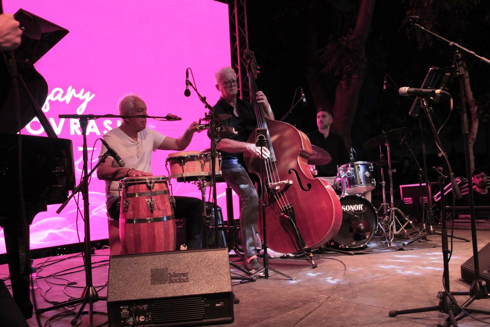Французские джазовые ритмы под открытым небом летнего Баку - Eric Jacot Band на Shahin Novrasli Festival (ФОТО)