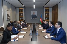 Обсуждены возможности взаимодействия в ряде сфер между Азербайджаном и Зимбабве (ФОТО)