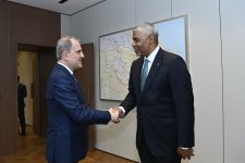 Джейхун Байрамов провел обсуждения с генсеком Всемирной таможенной организации (ФОТО)