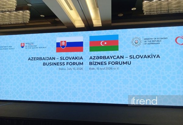 В Баку состоялся Азербайджано-словацкий бизнес-форум (ФОТО)