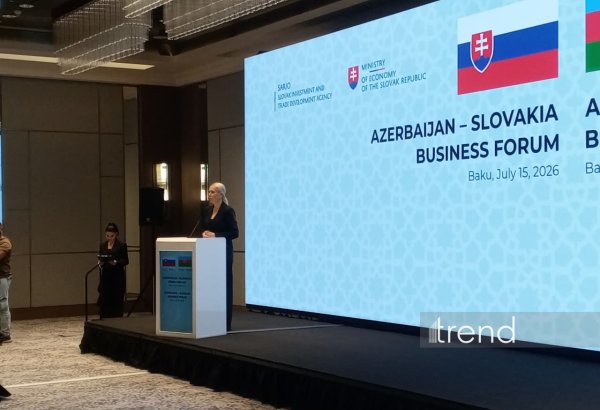 Азербайджан - важный партнер Словакии и ключевое связующее звено между регионами - Дениса Сакова
