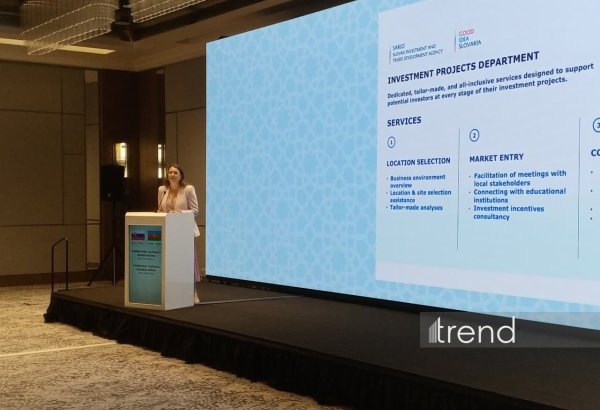 SARIO готово содействовать азербайджанским инвесторам в реализации проектов в Словакии