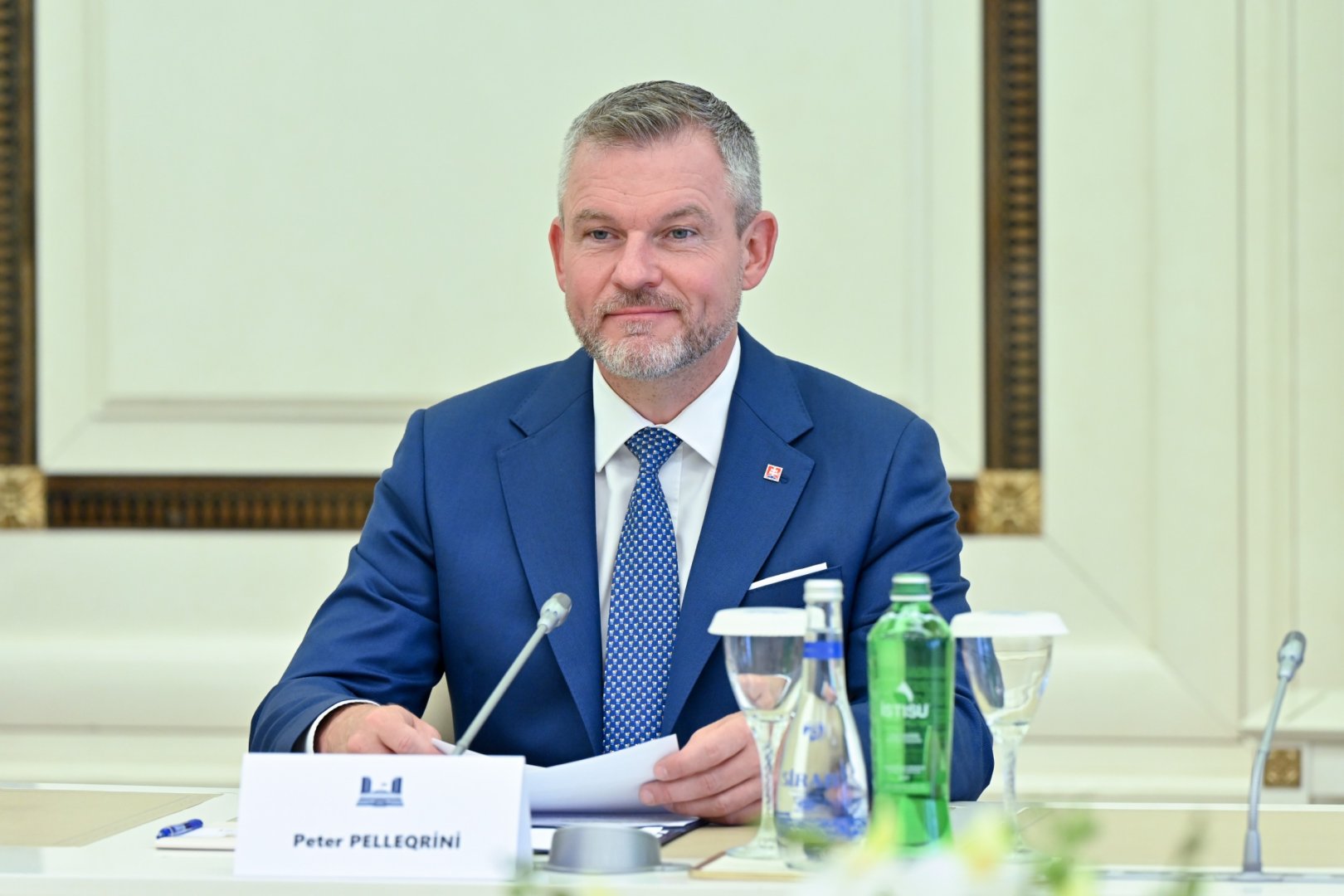 Спикер Сахиба Гафарова провела обсуждения с Президентом Словакии (ФОТО)