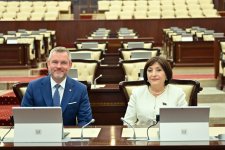 Спикер Сахиба Гафарова провела обсуждения с Президентом Словакии (ФОТО)