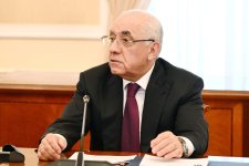 Али Асадов провел встречу с Президентом Словакии (ФОТО)