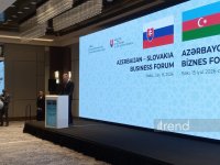 В Баку состоялся Азербайджано-словацкий бизнес-форум (ФОТО)