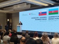 В Баку состоялся Азербайджано-словацкий бизнес-форум (ФОТО)