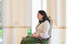 Президент Ильхам Алиев принял верительные грамоты нового посла Ирландии в Азербайджане (ФОТО)