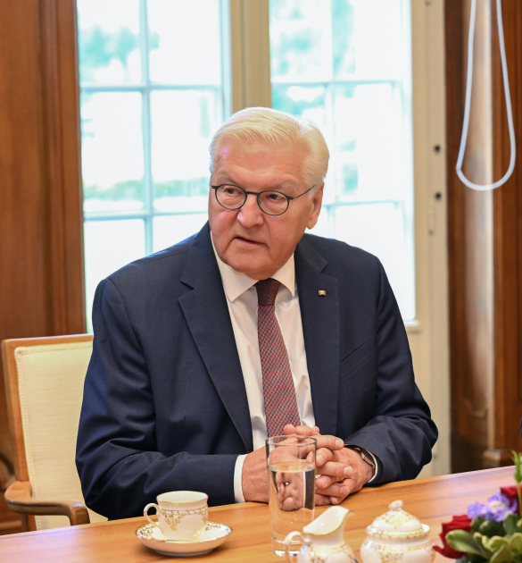 Состоялась встреча Президента Азербайджана Ильхама Алиева и Президента Германии Франка-Вальтера Штайнмайера в расширенном составе (ФОТО)