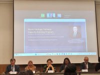 Азербайджан окажет поддержку малым островным развивающимся государствам в сохранении Всемирного наследия (ФОТО)