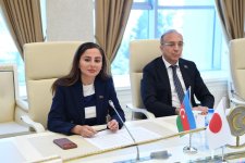 В Милли Меджлисе Азербайджана обсуждены межпарламентские отношения с Японией (ФОТО)
