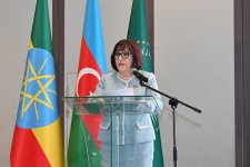Сахиба Гафарова встретилась в Эфиопии с послами ряда стран (ФОТО)