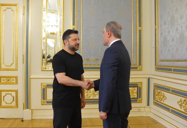 Состоялась встреча между Президентом Украины и главой МИД Азербайджана