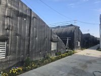 В Янгиюле построен современный тепличный комплекс на основе тепловых насосов (ФОТО)