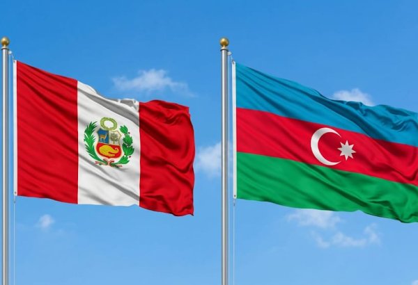 Перу видит возможности для расширения сотрудничества с Азербайджаном (ФОТО)
