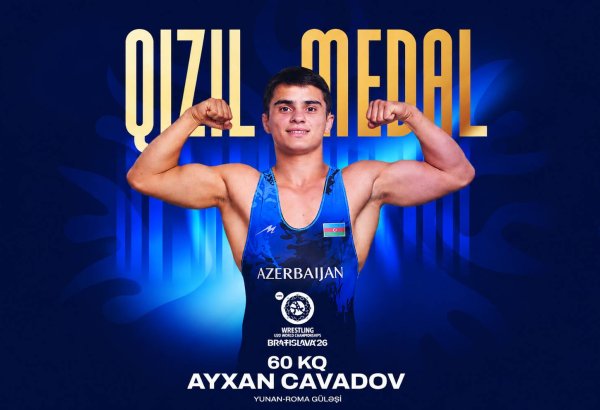 Азербайджанский борец во второй раз подряд стал чемпионом мира