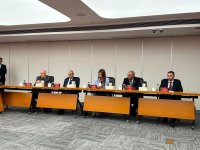 Азербайджан и Китай расширяют обмен опытом в энергетической сфере (ФОТО)