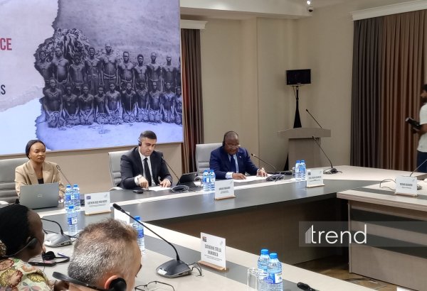 Глава Нацкомиссии Конго призвал вернуть исторические материалы в страны их происхождения