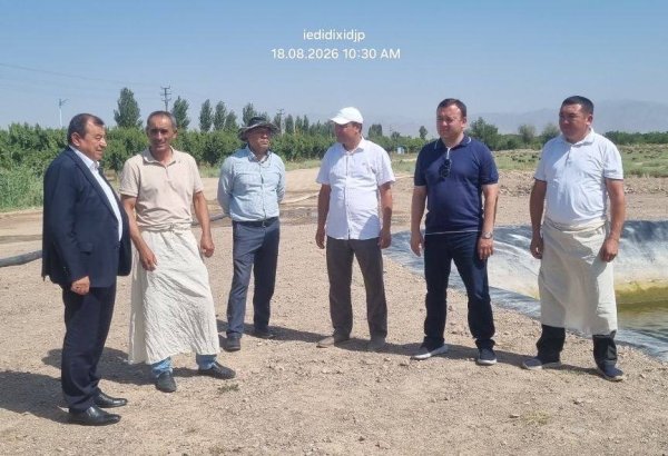 Узбекистан и Таджикистан расширяют научное сотрудничество в сфере выращивания хлопка