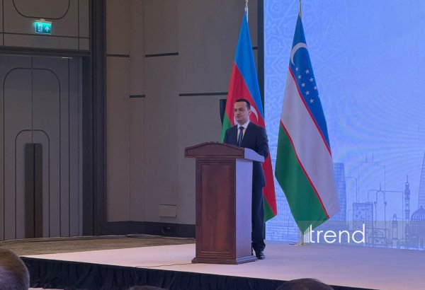 В Азербайджано-узбекской инвесткомпании рассматриваются 7 проектов на $500 млн - министр