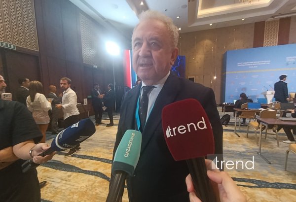 Явка на выборах в Курултай достаточно высокая - посол Турции