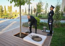 В Ташкенте состоялось открытие Национального педагогического университета имени Низами Гянджеви (ФОТО)