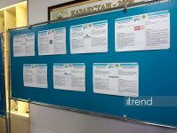 В Акмолинской области Казахстана проходит голосование на выборы в Курултай (ФОТО)