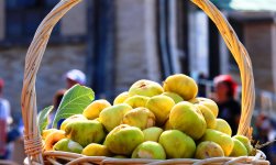Вкус Абшерона - в "Гала" состоялся Фестиваль инжира (ФОТО)