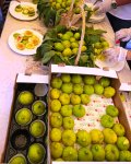 Вкус Абшерона - в "Гала" состоялся Фестиваль инжира (ФОТО)