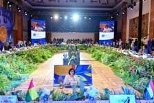 Основные принципы ДН соответствуют внешней политике Азербайджана — Сахиба Гафарова (ФОТО)