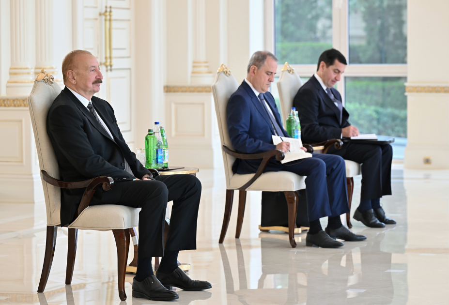 Президент Ильхам Алиев принял новоназначенного резидента-координатора ООН в Азербайджане (ФОТО/ВИДЕО)