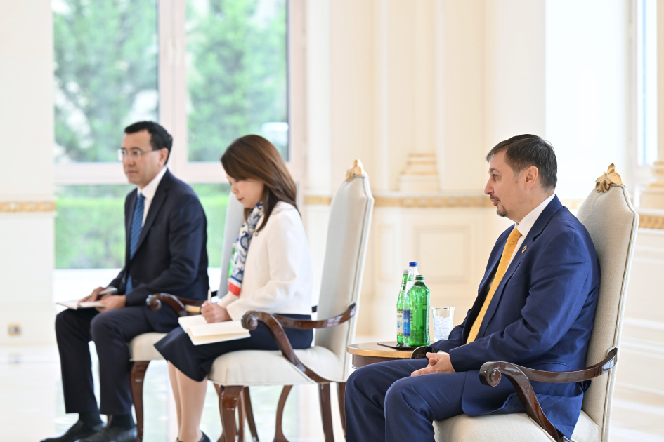 Президент Ильхам Алиев принял новоназначенного резидента-координатора ООН в Азербайджане (ФОТО/ВИДЕО)