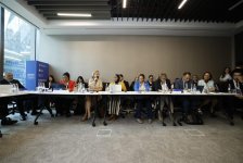 Азербайджан представлен на Стамбульском саммите по климатическому финансированию (ФОТО)