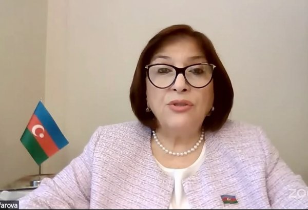 Сахиба Гафарова выступила на 4-м Международном семинаре для учёных и парламентариев (ФОТО)