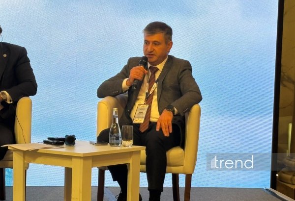 Азербайджан расширит практику обмена электронными разрешениями до конца года - ABADA