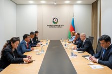 Азербайджан и ROX Energy Global обсудили проекты в сфере возобновляемой энергетики (ФОТО)
