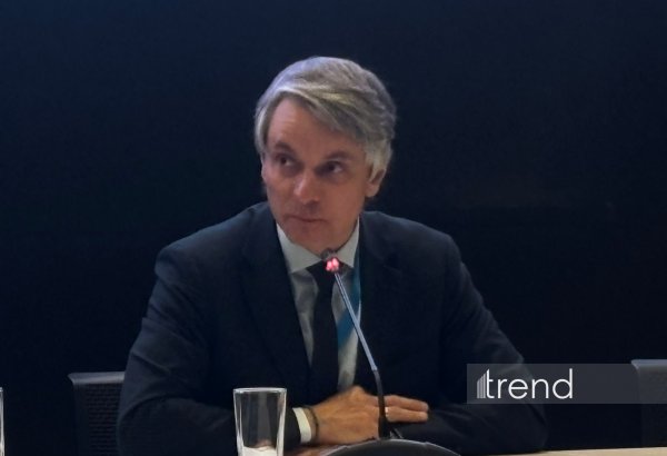 Цели COP31 должны стать бизнес-возможностями - UNECE