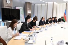 Обсуждено сотрудничество между Азербайджаном и Китаем в области энергетики (ФОТО)