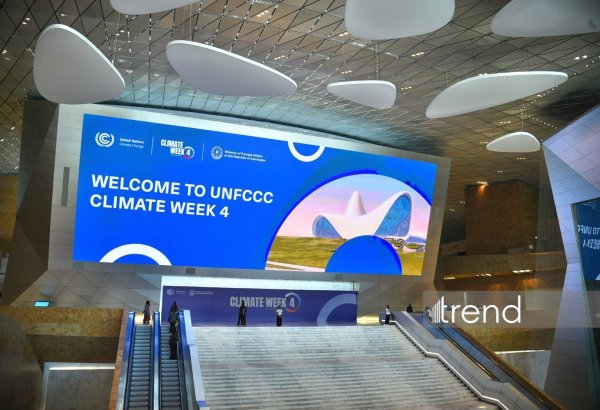 От Баку к Анталье: Наследие COP29 становится основой глобальной климатической повестки