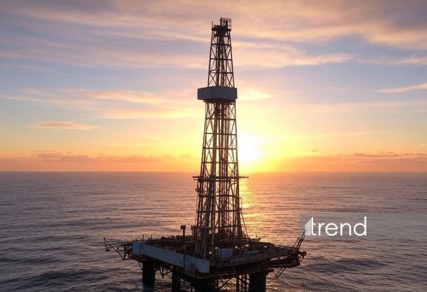 Поставки нефти из Саудовской Аравии упали до минимума более чем за 30 лет - МЭА