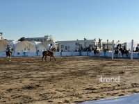 Представитель Азербайджана вышел в финал турнира по пляжному поло (ФОТО)
