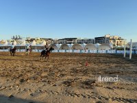 Представитель Азербайджана вышел в финал турнира по пляжному поло (ФОТО)