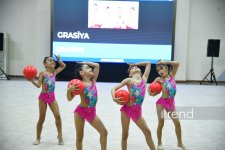 В Баку завершилось шоу изящества художественных гимнасток (ФОТО)